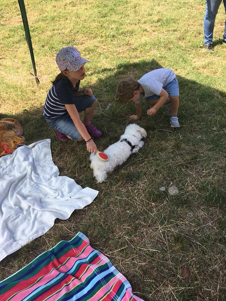 pet 4