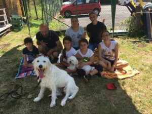 pet therapy