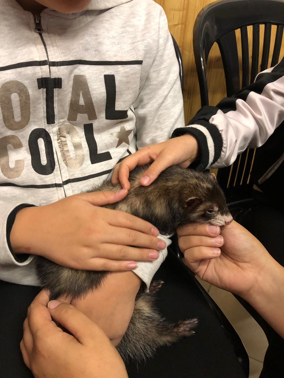 IMG 20181029 WA0003