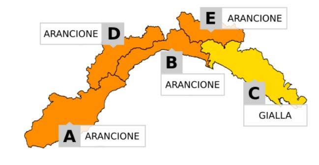 allerta11118