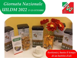 IMG 20221019 WA0006