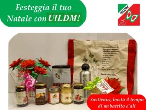IMG 20221205 WA0016