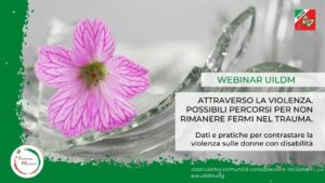 WEBCARD ERE 25.11