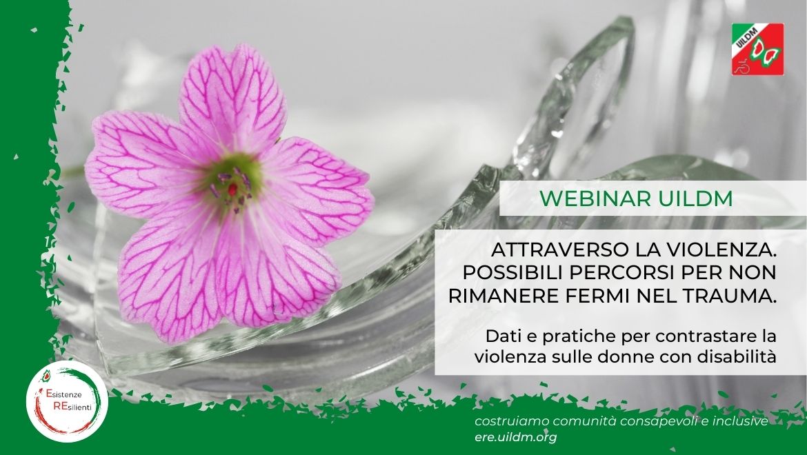 WEBCARD ERE 25.11