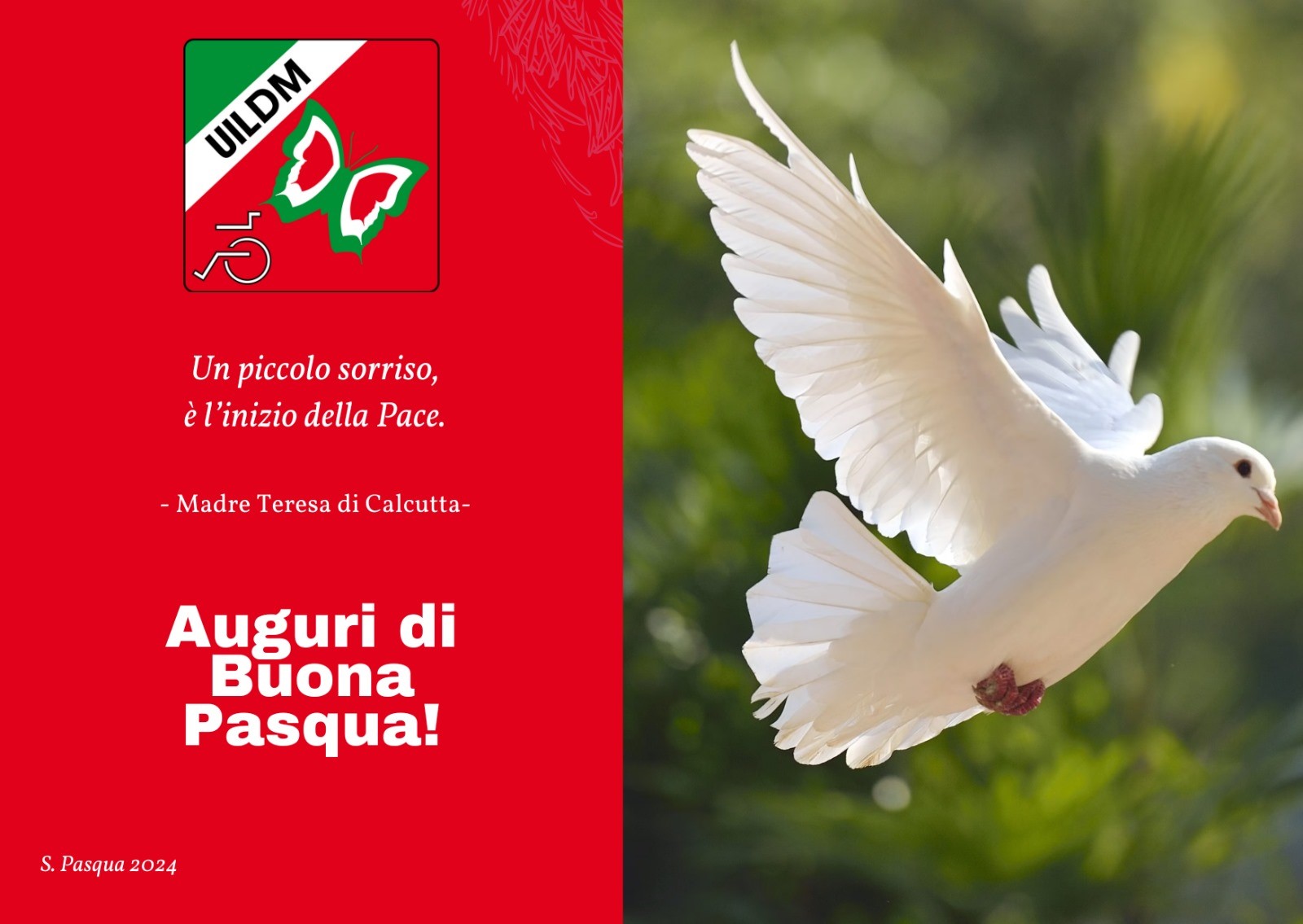 AUGURI PASQUA