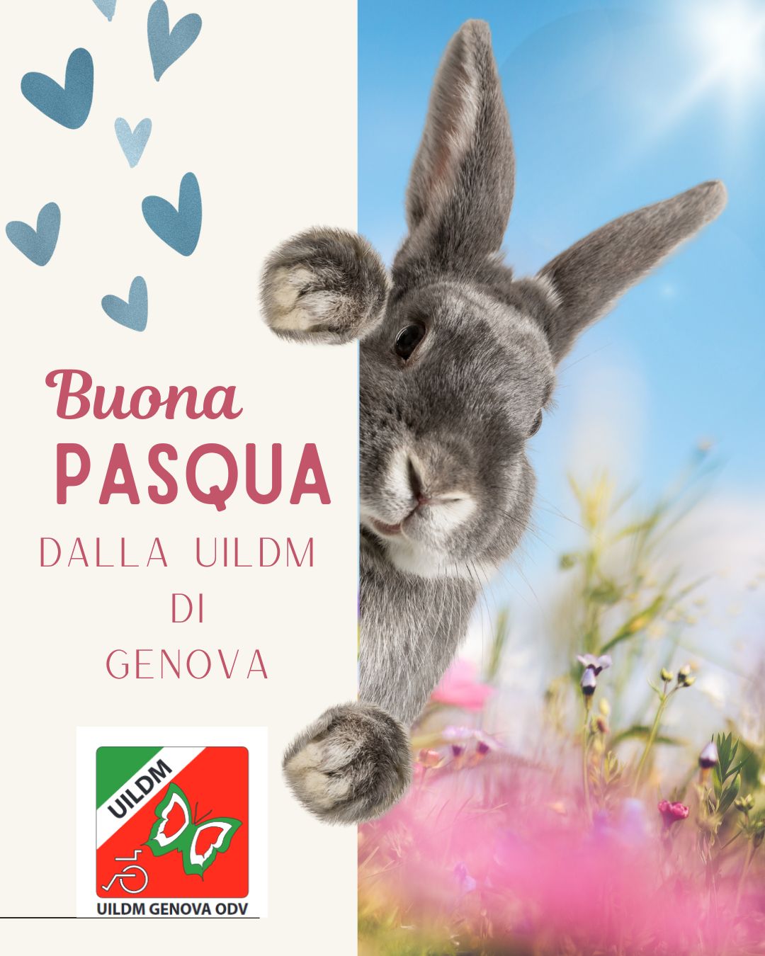 Post di Instagram Auguri buona Pasqua Simpatico Azzurro